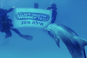 אולסטאר 2016. יורד דרומה