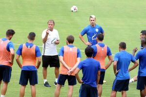 אלישע לוי. מתלבט בין חמד לאצילי