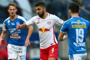 דאבור. בגביע הוא מפציץ