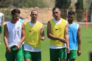 חבשי והחברים