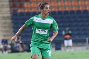 מירוק לצהוב. בנש