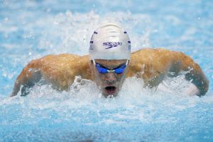 נבו. הכנה ל-400 מעורב