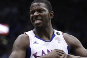 הרכש החדש של טפירו. ליטל