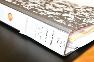 התיק שעורר זעם