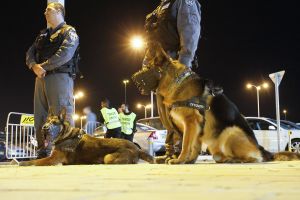 כוחות משטרה הגיעו למקום ועיכבו עשרה חשודים