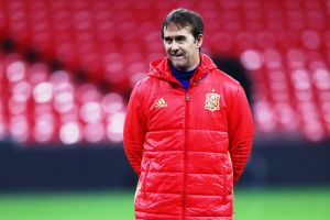 לופטגי. אורח כבוד בחיחון