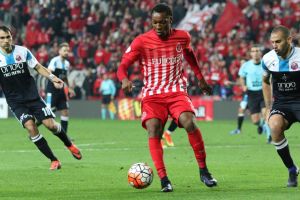 מייקל סיטון. מאוכזב