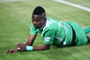 צ'יבוטה המתוסכל על הדשא