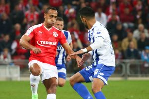 ראדי. הרבה חכמה וסבלנות