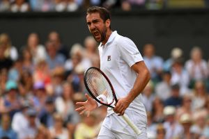 מארין צ'יליץ'