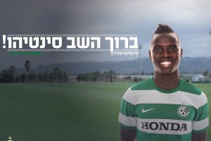 סינטיהו סלליך