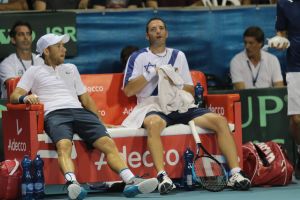 ארליך וסלעיוני