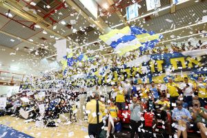 אוהדי מכבי תל אביב