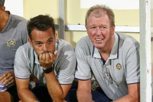 סטיב מקלארן