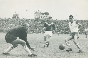 יעקב ויסוקר