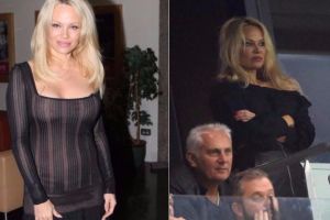 פמלה אנדרסון