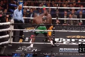 ווילדר נגד אורטיז