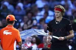 אלכסנדר זברב