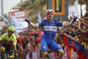 אליה ויויאני