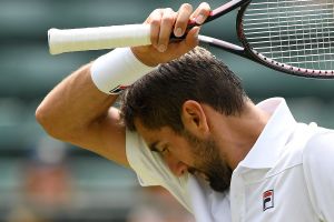 מארין צ'יליץ'