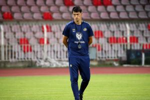 ולדימיר איביץ'