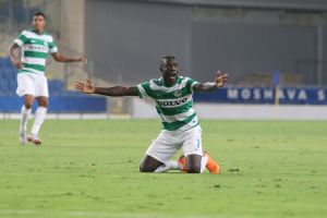 סינטיהו סלליך