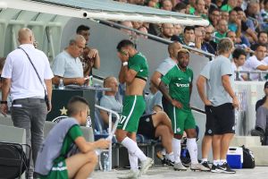 סיידובה סומא, עמית זנטי