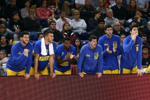 מכבי תל אביב