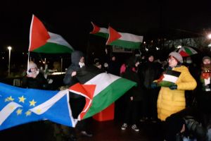 מפגינים פרו פלסטינים