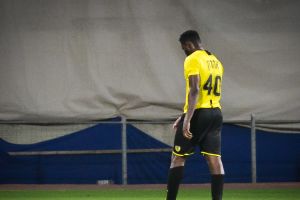 ארון אולנארה