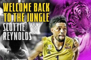 סקוטי ריינולדס