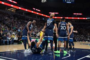 מינסוטה טימברוולבס