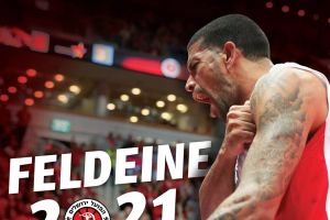 ג'יימס פלדין