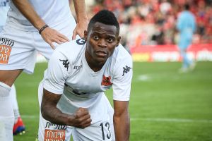 מאוויס צ'יבוטה