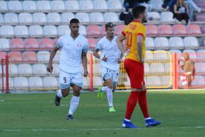 אילון אלמוג