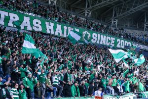 אוהדי מכבי חיפה