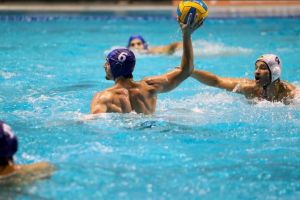 ליגת העל בכדורמים