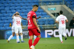 אילון אלמוג