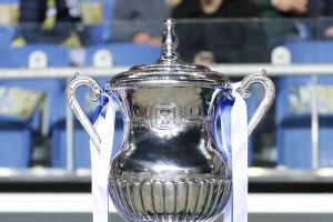 גביע המדינה