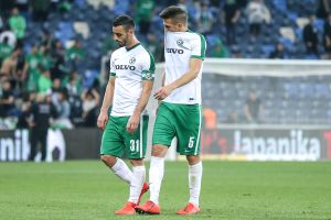 רמי גרשון, נטע לביא