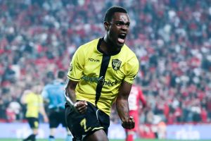 פרדי פלומיין