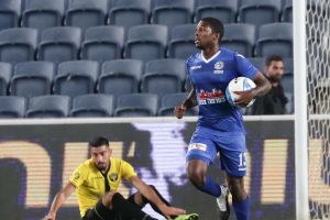 ארמנדו קופר