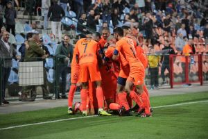 סקציה נס ציונה