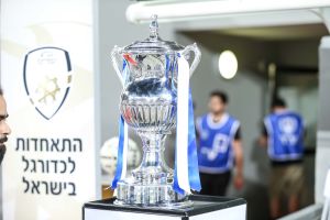 גביע המדינה