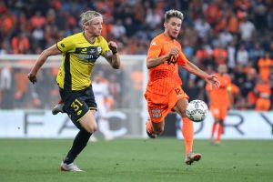 יאקוב סילבסטר, טים הויבך