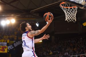 שיין לארקין