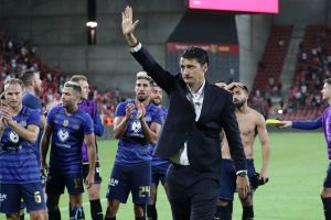 ולדימיר איביץ'