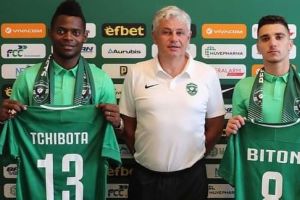 מאוויס צ'יבוטה, דן ביטון