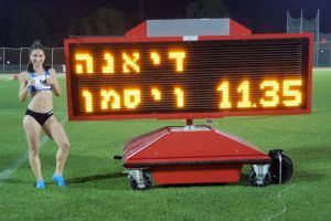 דיאנה וייסמן