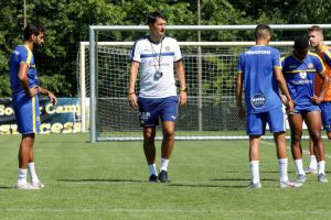 ולדימיר איביץ'